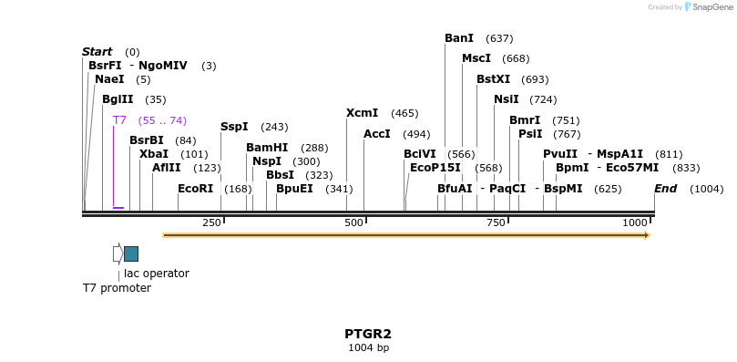 64972_map