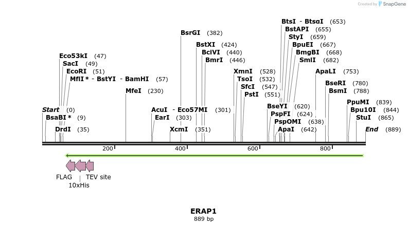 64977_map