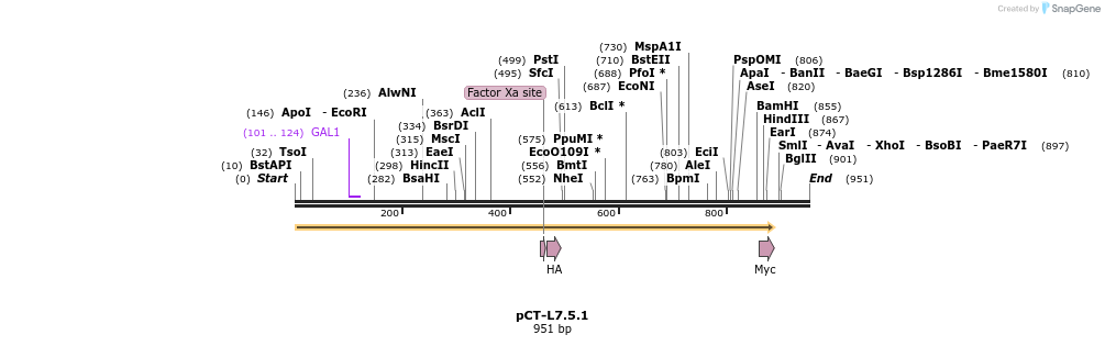 64982_map