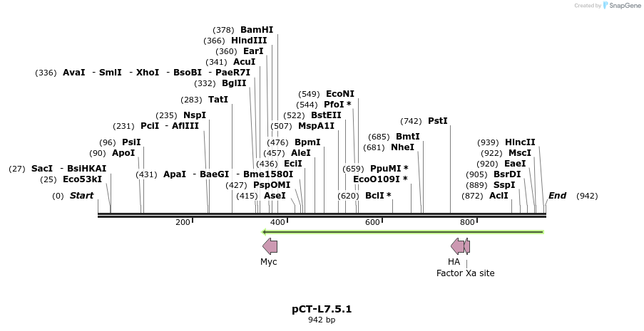 64995_map