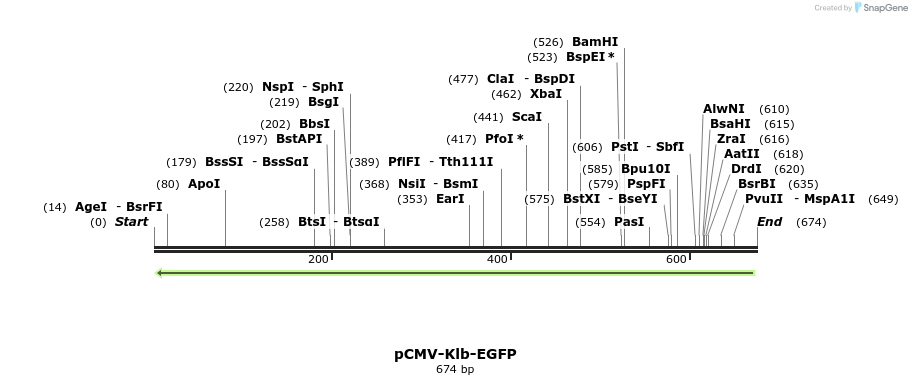 64997_map