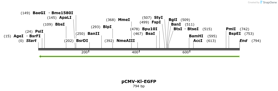 64999_map