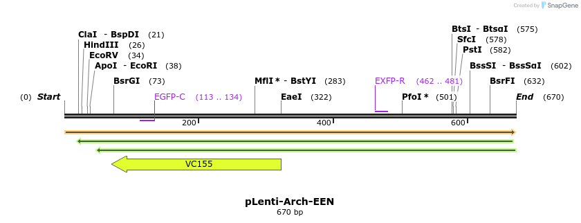 65010_map