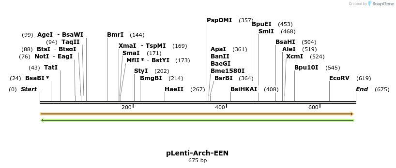 65012_map