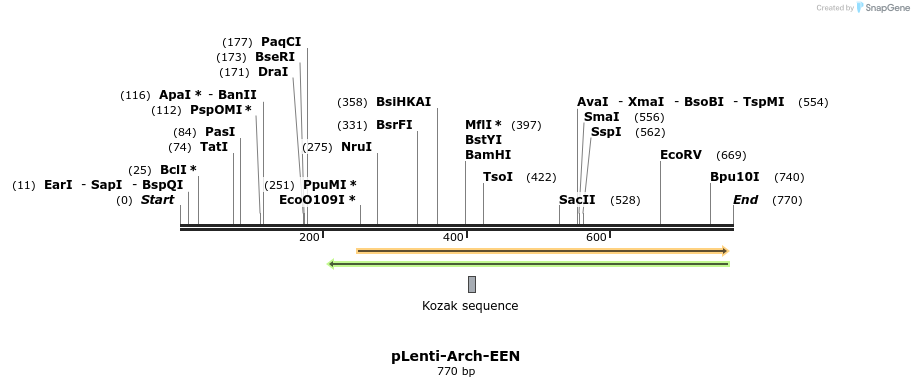 65015_map