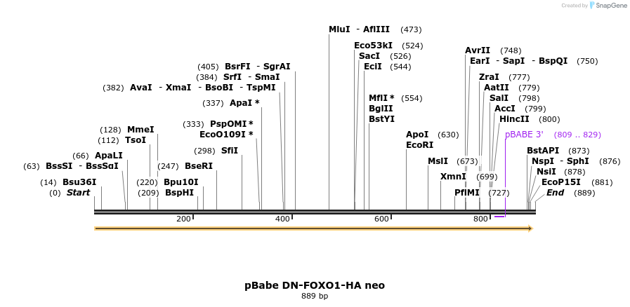 65026_map