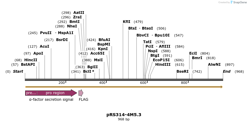 65035_map
