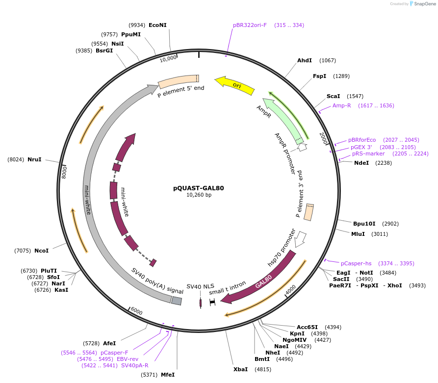 65039_map