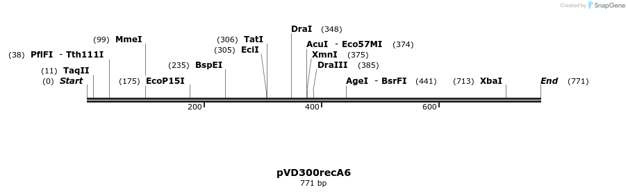 65044_map