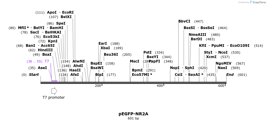 65071_map