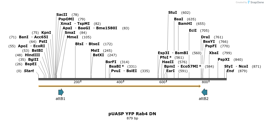 65074_map