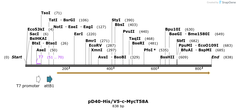 65076_map