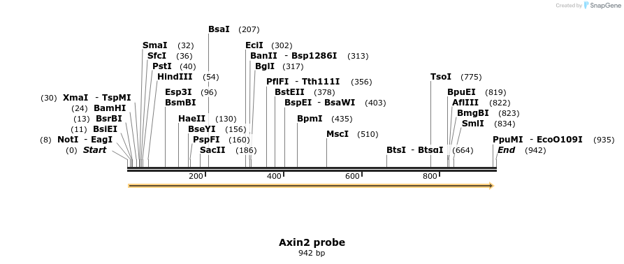 65080_map