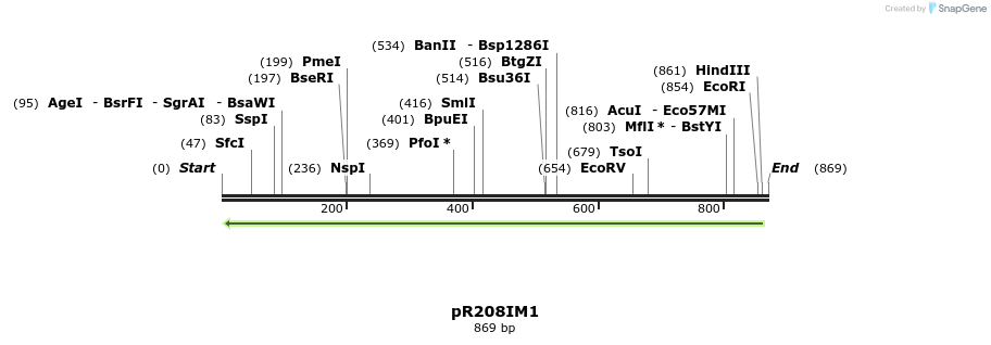 65094_map