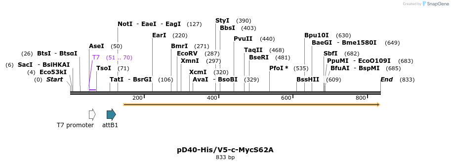 65095_map