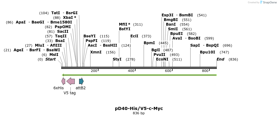 65102_map