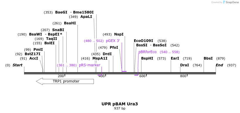 65103_map