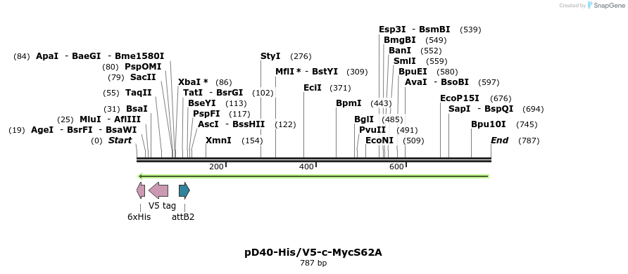 65105_map