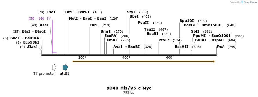 65106_map
