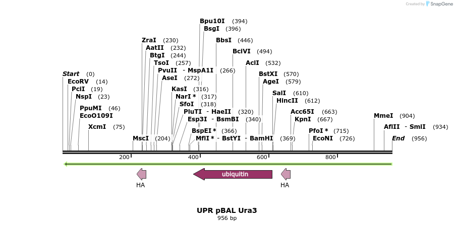 65107_map