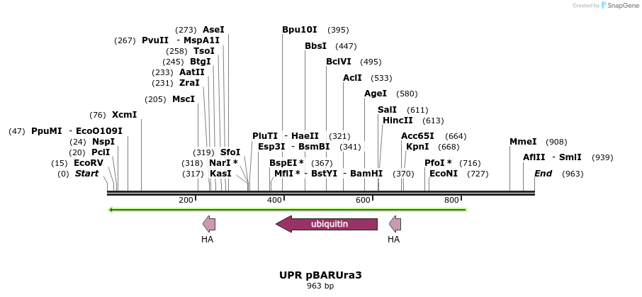 65108_map