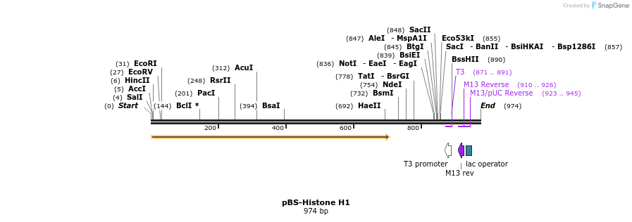 65109_map