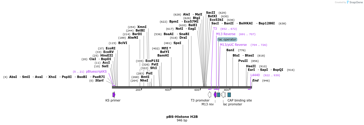 65110_map