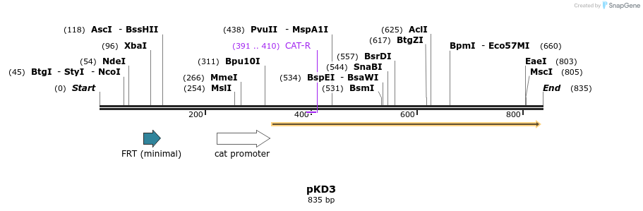 65112_map