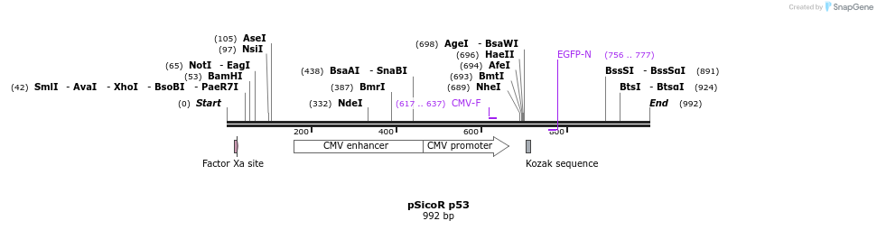 65120_map