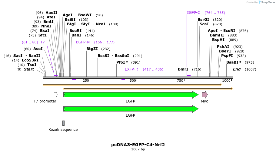 65124_map