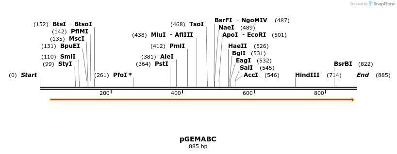 65126_map