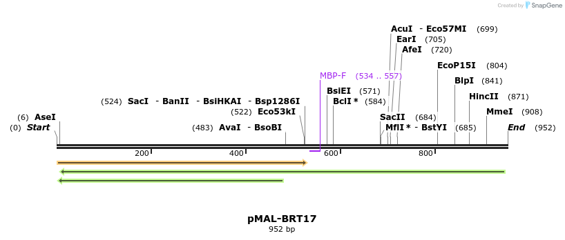 65127_map