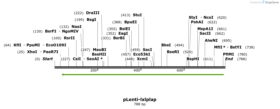 65129_map
