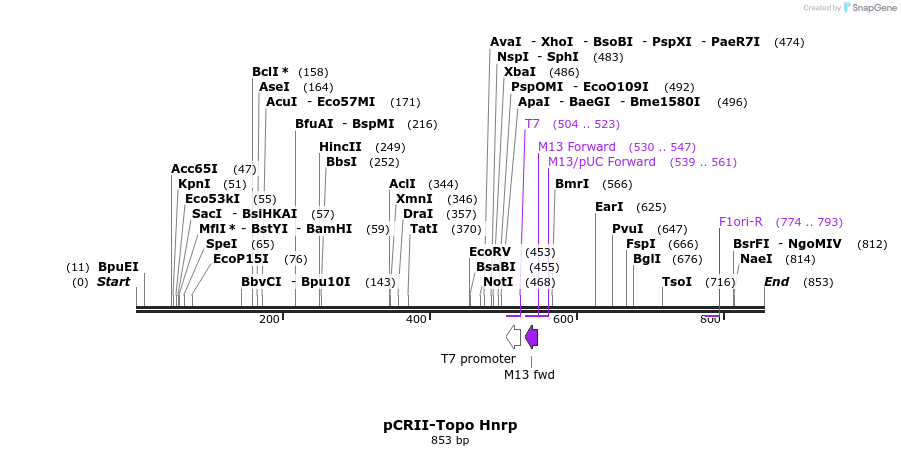 65143_map