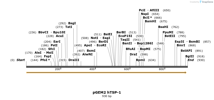 65149_map