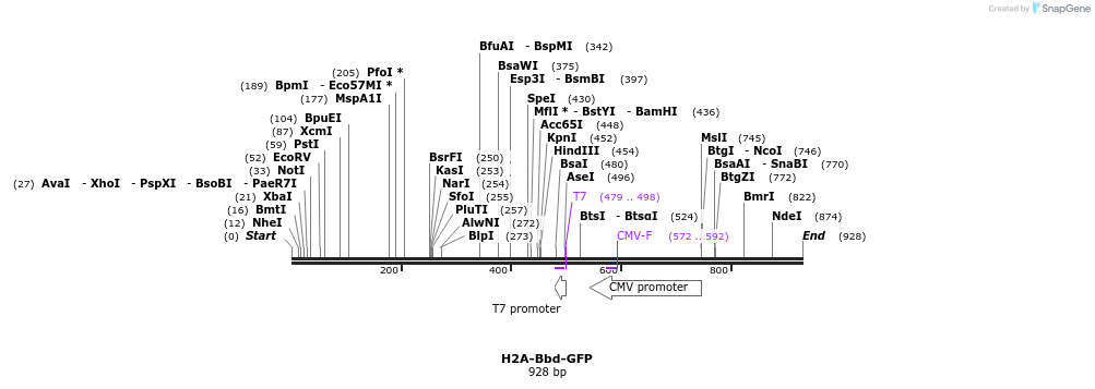 65150_map