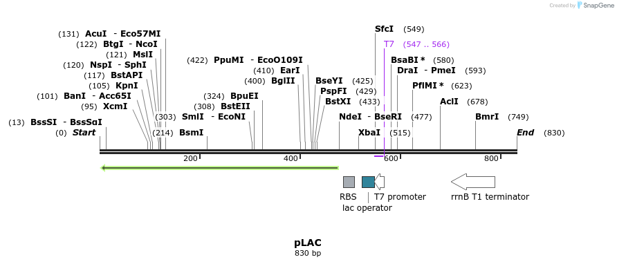 65151_map