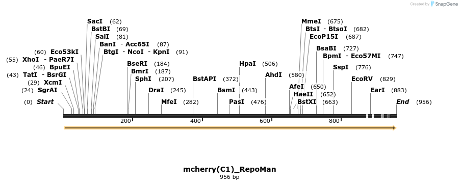 65166_map