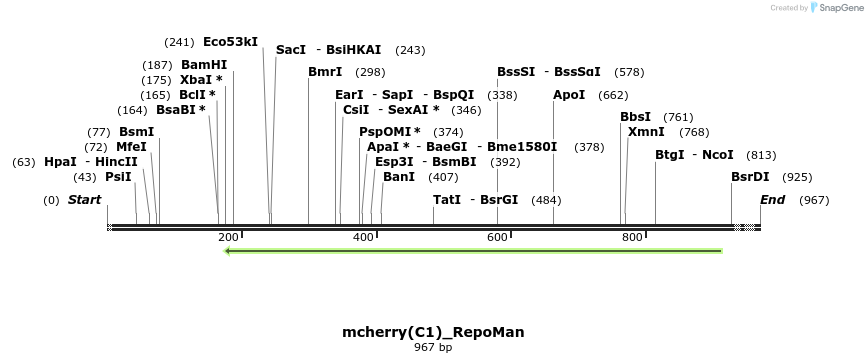 65167_map