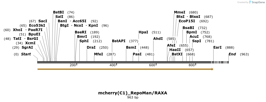 65168_map