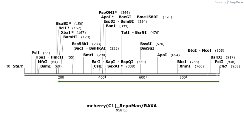 65169_map