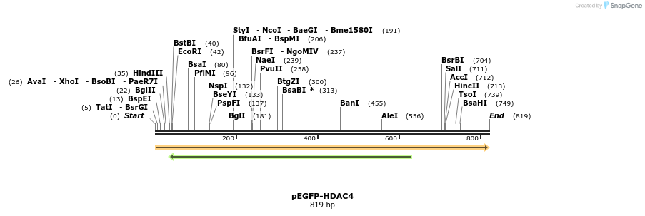 65171_map