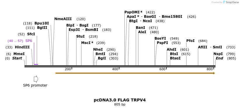 65176_map