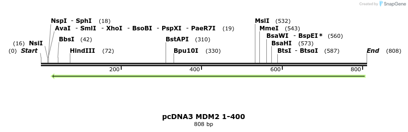 65177_map