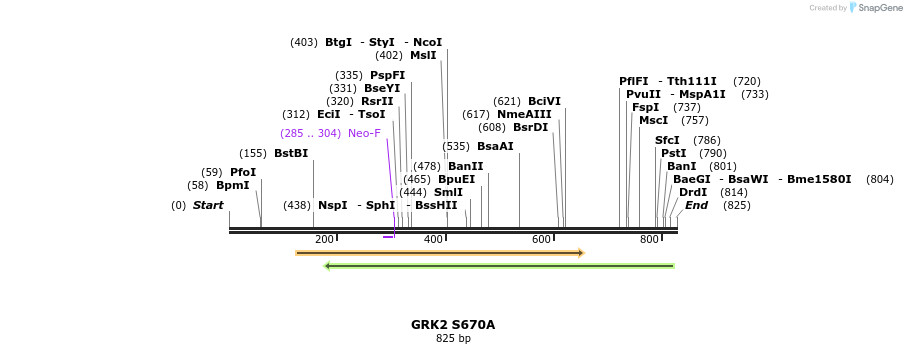 65178_map
