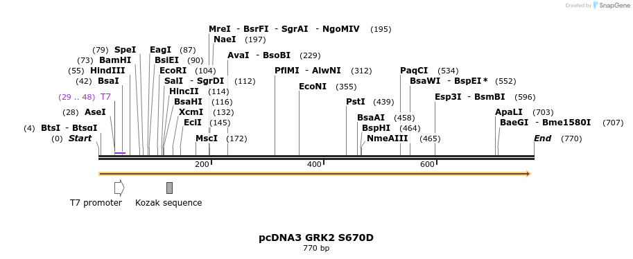 65179_map