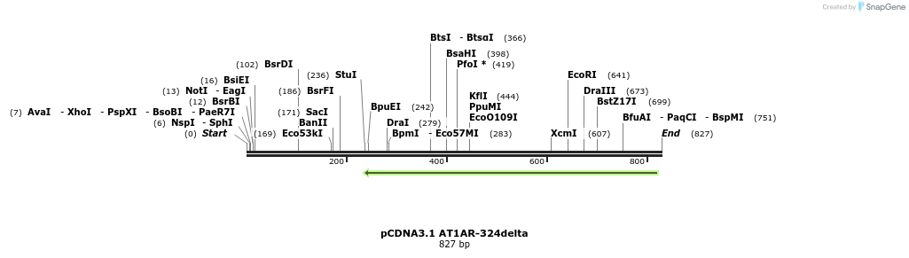 65182_map