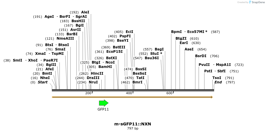65191_map