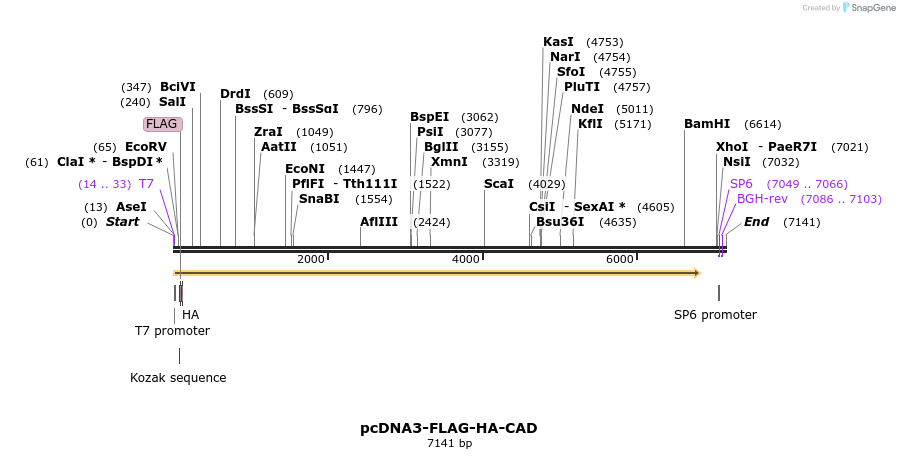 65192_map