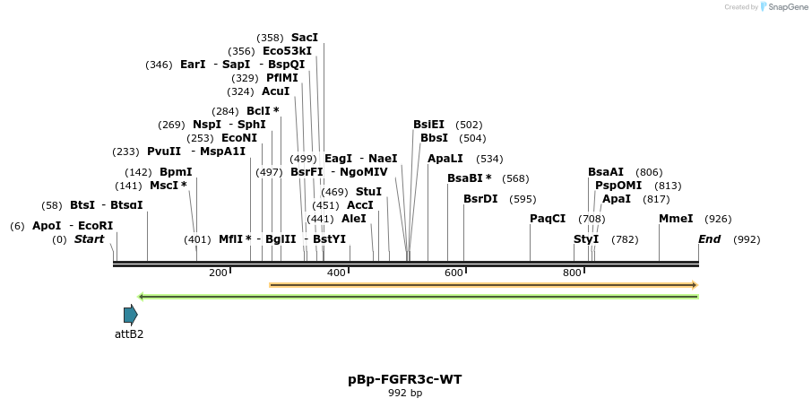 65195_map